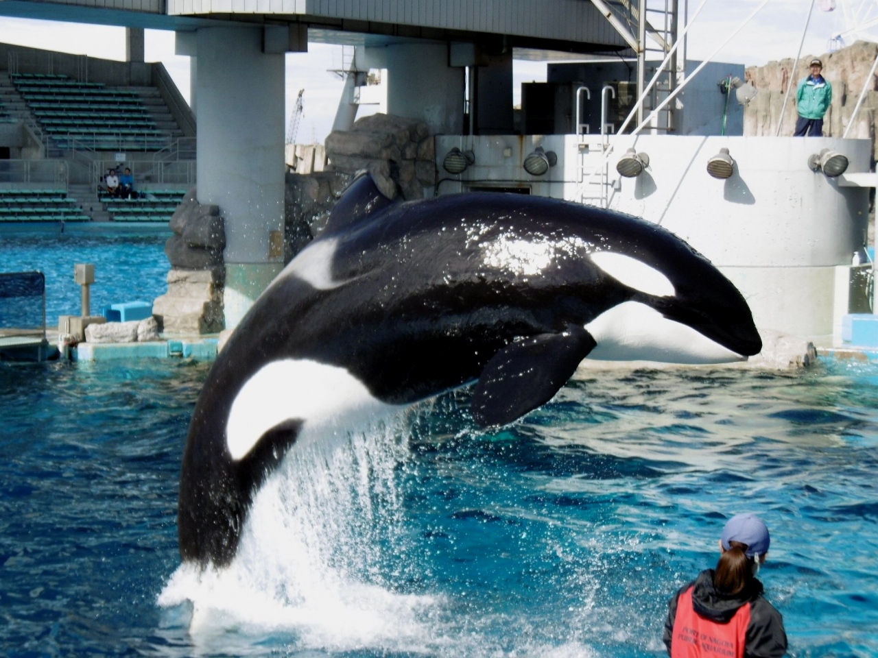 お昼ご飯を食べに 名古屋港水族館へ海の王者に逢いに行きました 名古屋港 愛知県 の旅行記 ブログ By Jilllucaさん フォートラベル