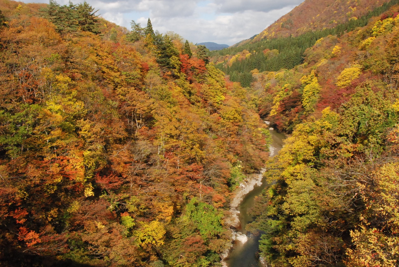渓谷の紅葉が色鮮やかな小安峡を散策 秋田 湯沢 秋田 秋田県 の旅行記 ブログ By かっちんさん フォートラベル