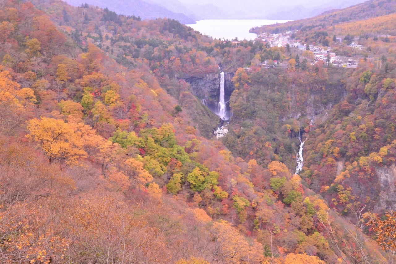 2014年10月日光明智平 日光 栃木県 の旅行記 ブログ By 元江戸堀さん フォートラベル 2014年10月日光明智平 日光 栃木県 の旅行記 ブログ By 元江戸堀さん フォートラベル