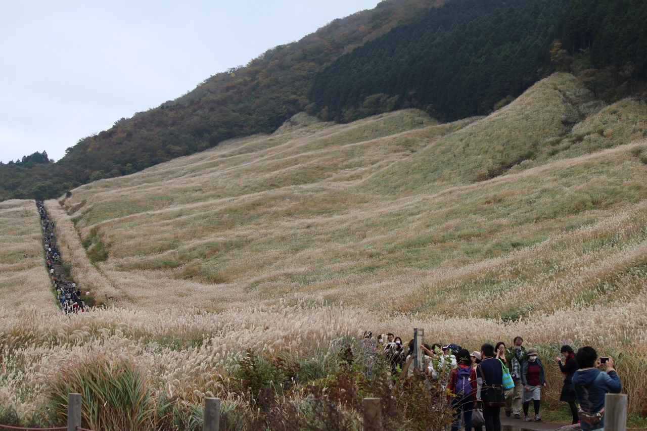 箱根の山に忍び寄る秋を感じた ポーラ美術館 宮城野 仙石原 湖尻ついでにアウトレット 芦之湯 大平台 宮城野 神奈川県 の旅行記 ブログ By ころたさん フォートラベル