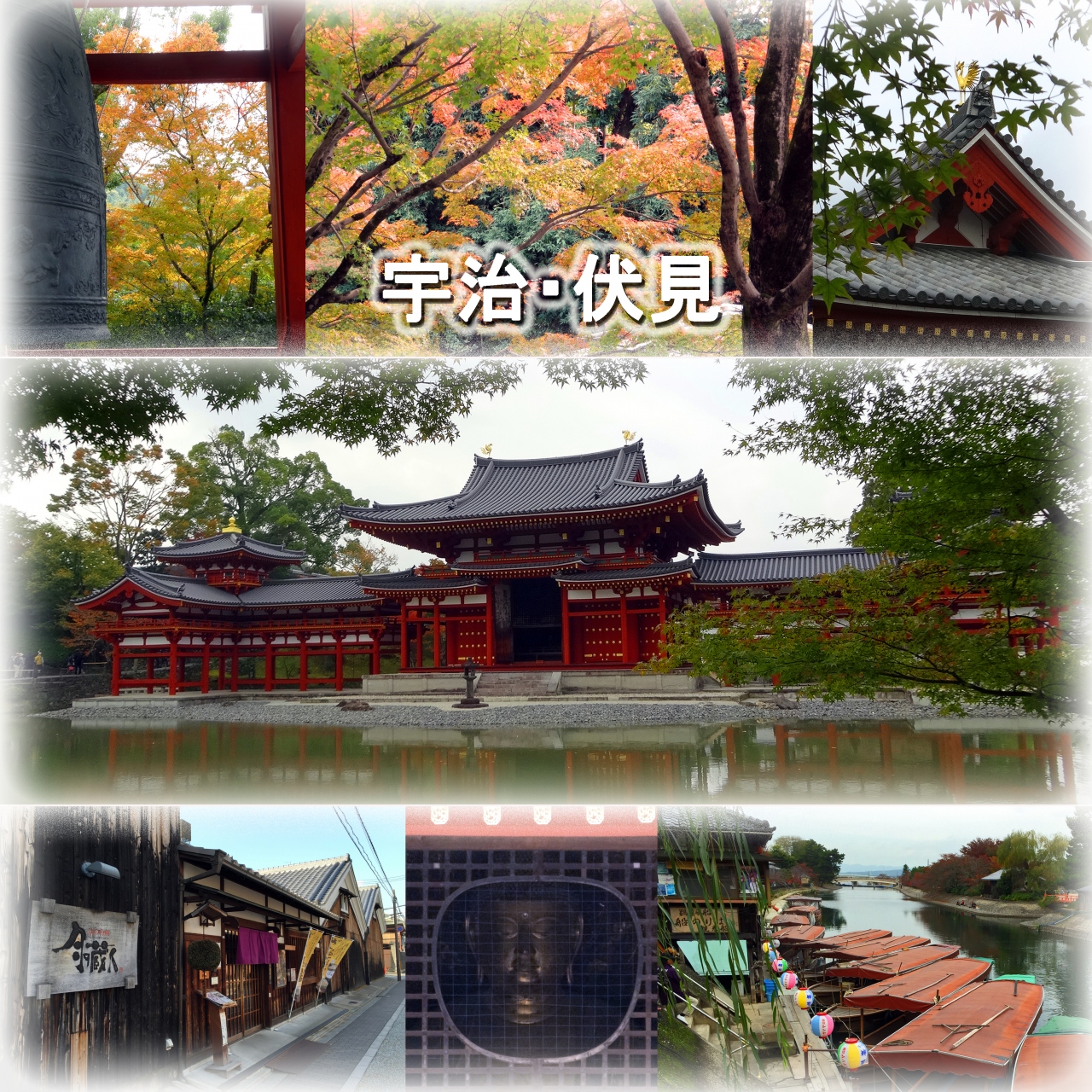 神戸 京都の旅２ お化粧直しした平等院を見学 伏見の酒蔵レストラン 月の蔵人 でランチ 寺田屋見学 宇治 京都 の旅行記 ブログ By ルート マスターさん フォートラベル