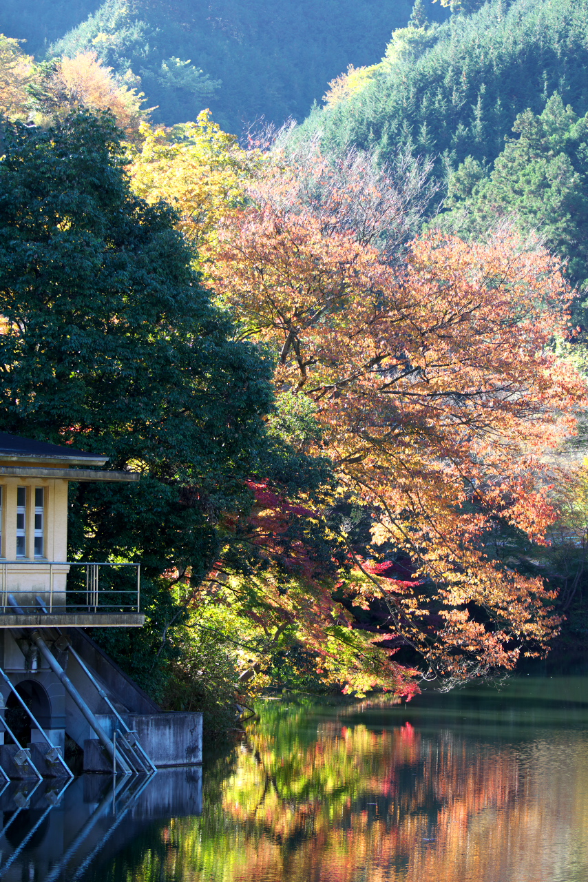 埼玉の隠れ 紅葉スポット 鎌北湖 かまきたこ 日高 鶴ヶ島 坂戸 埼玉県 の旅行記 ブログ By G Travelerさん フォートラベル