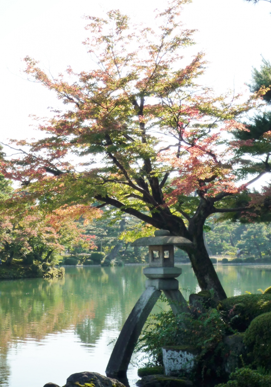 10月下旬 1泊2日金沢旅行 旅人にあんやとね その1 計画 出発 1日目昼食 金沢 石川県 の旅行記 ブログ By すぶたさん フォートラベル 10月下旬 1泊2日金沢旅行 旅人にあんやとね その1 計画 出発 1日目昼食 金沢 石川県 の旅行記 ブログ By すぶたさん フォートラベル