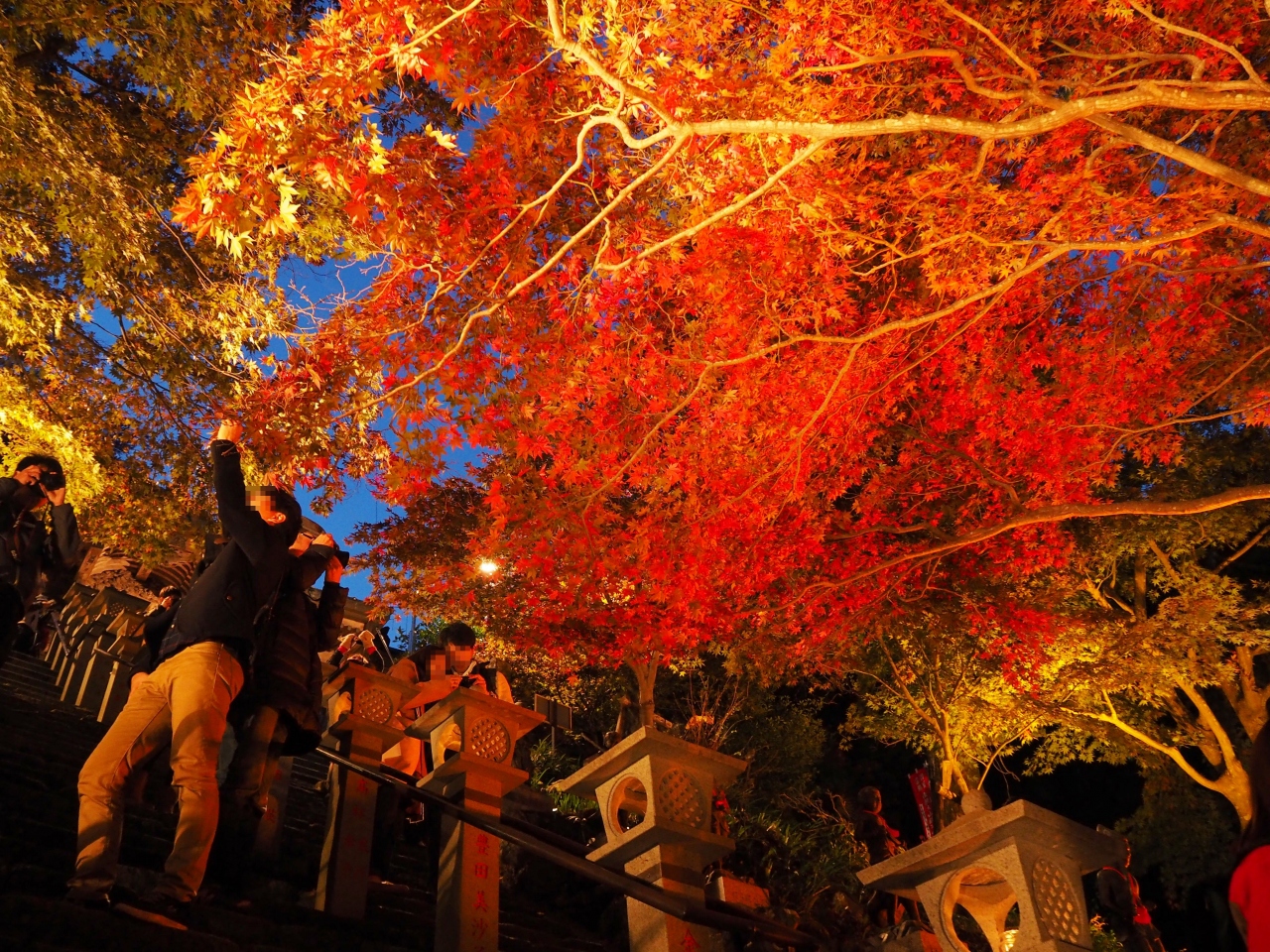 丹沢 大山フリーパスで行く 阿夫利神社 大山寺紅葉ライトアップ 丹沢 大山 神奈川県 の旅行記 ブログ By Momotaさん フォートラベル