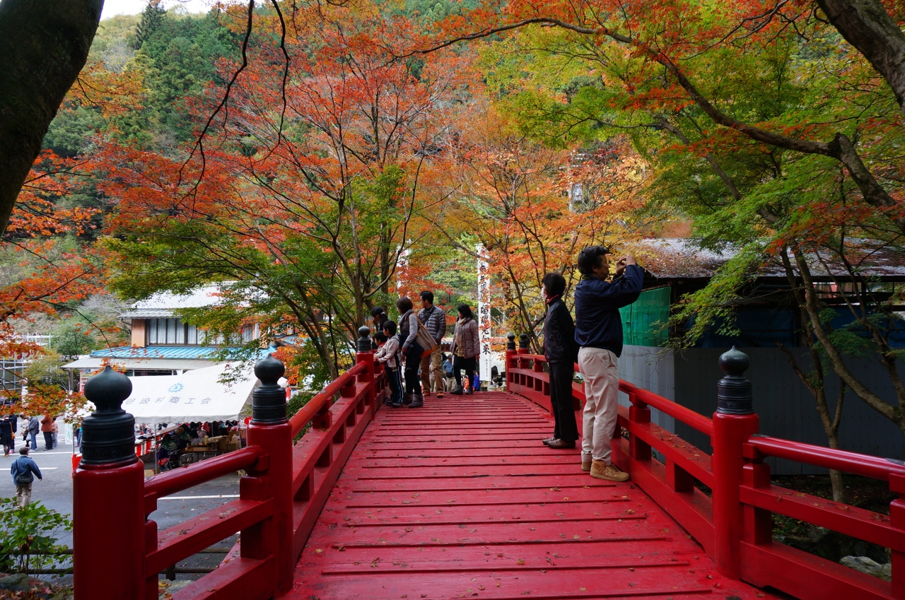 14年秋満開 初めての谷汲山華厳寺と横蔵寺 ミイラ寺 揖斐川 岐阜県 の旅行記 ブログ By なおかりさん フォートラベル