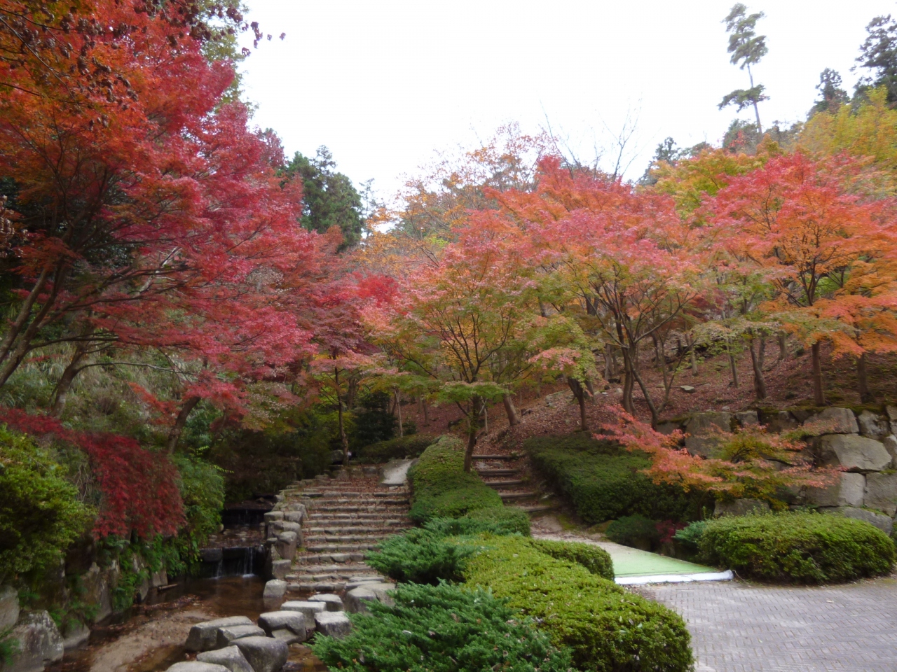 紅葉を観に森林公園へ 広島市 広島県 の旅行記 ブログ By パキータさん フォートラベル