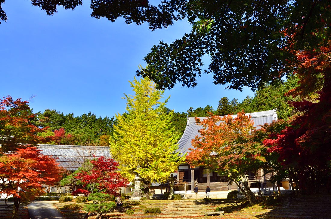 14紅葉 5 知る人ぞ知る紅葉の名所 東光寺 湖東三山 多賀 東近江 滋賀県 の旅行記 ブログ By 風に吹かれて旅人さん フォートラベル 14紅葉 5 知る人ぞ知る紅葉の名所 東光寺 湖東三山 多賀 東近江 滋賀県 の旅行記 ブログ By 風に吹かれて旅人さん フォートラベル