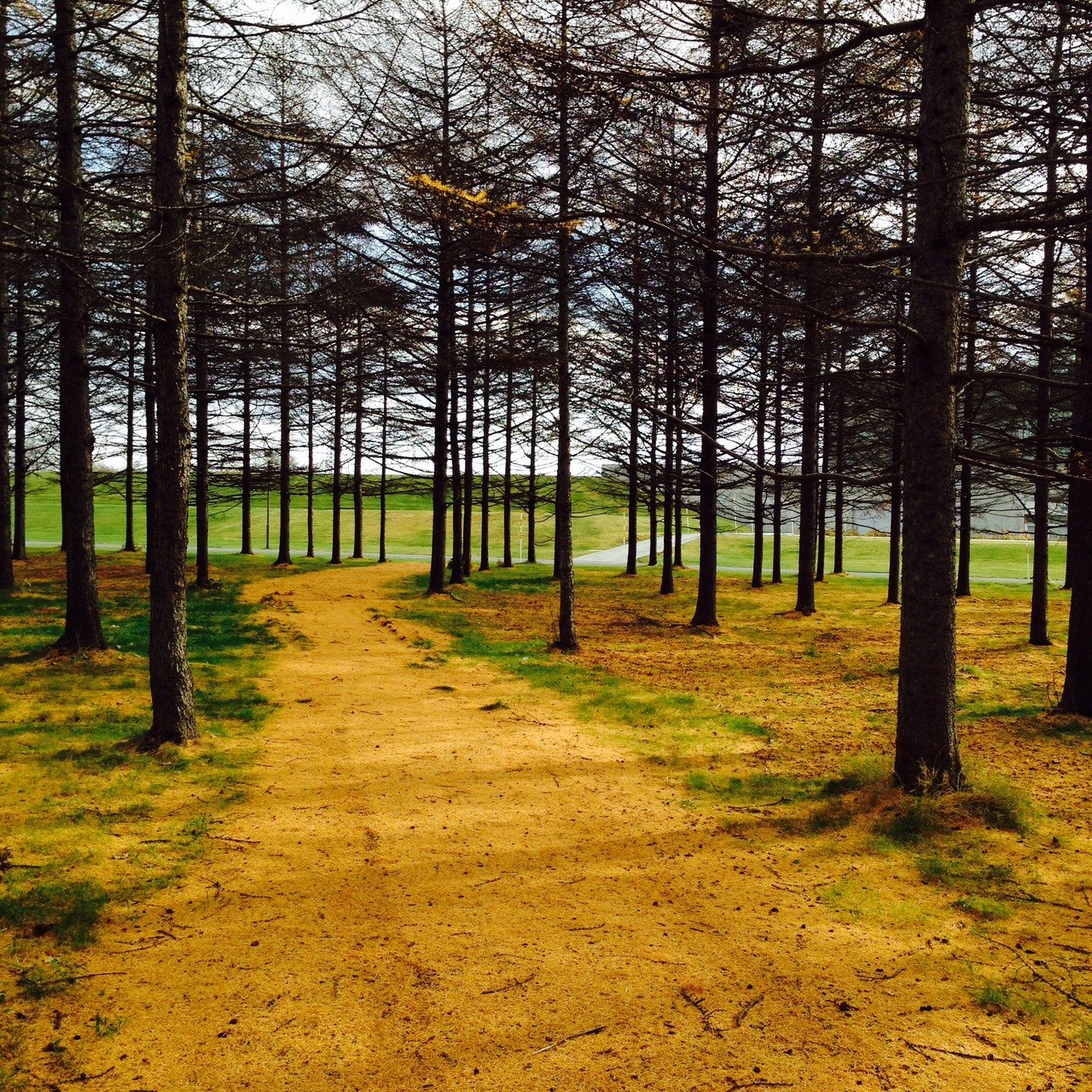 モエレ沼公園散歩 札幌 北海道 の旅行記 ブログ By Vietcafeさん フォートラベル モエレ沼公園散歩 札幌 北海道 の旅行記 ブログ By Vietcafeさん フォートラベル