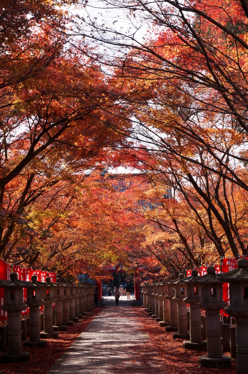 丹波もみじめぐり その1 高山寺 丹波 兵庫 兵庫県 の旅行記 ブログ By Ohchanさん フォートラベル 丹波もみじめぐり その1 高山寺 丹波 兵庫 兵庫県 の旅行記 ブログ By Ohchanさん フォートラベル