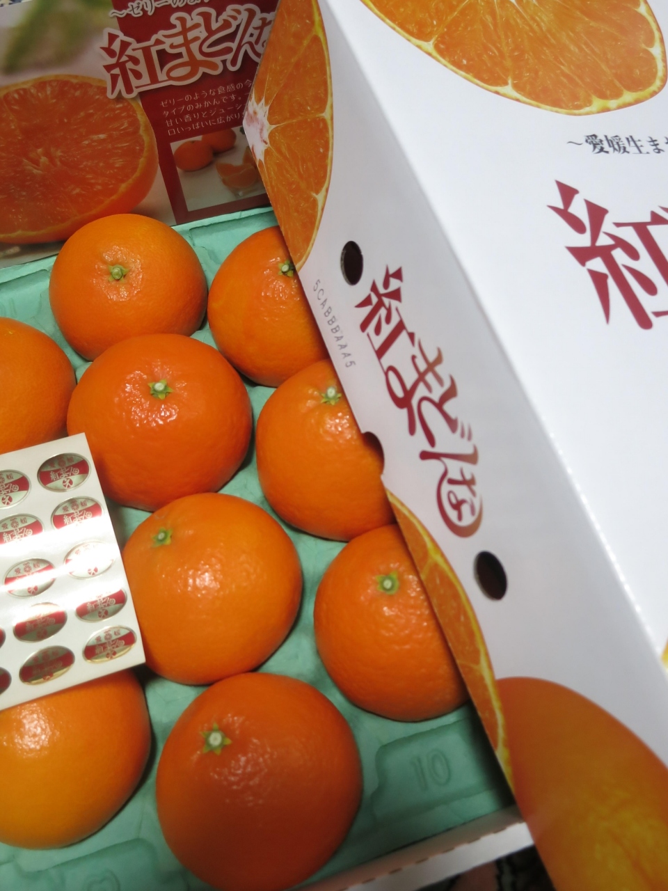 13年12月 里帰り 愛媛の果物を求めて 愛媛県の旅行記 ブログ By Kodebuさん フォートラベル