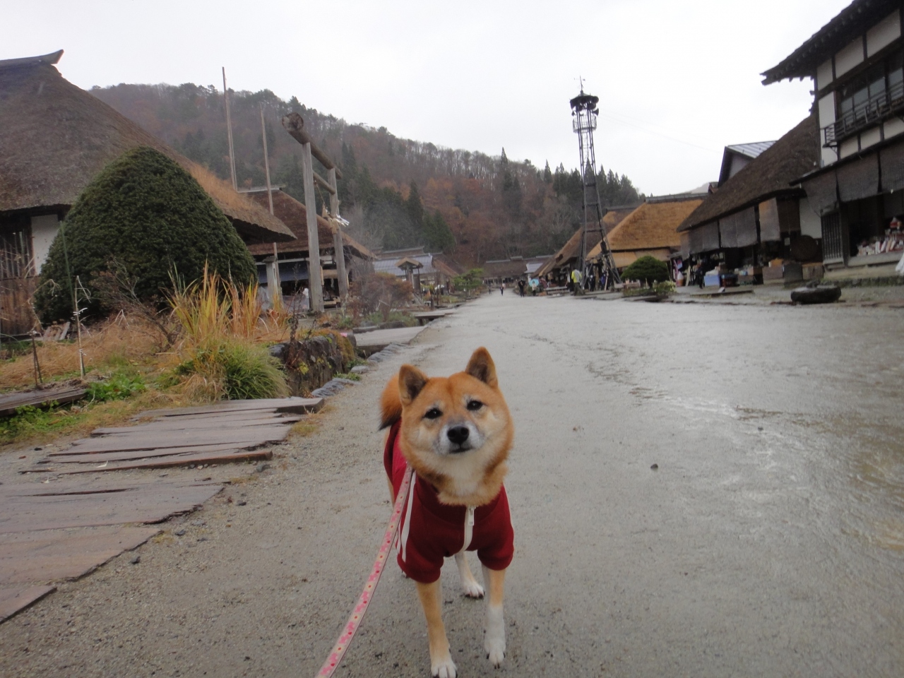 ワンコと旅行 小雨の大内宿散策から那須高原の イマジン ドッグス宿泊へ 那須 栃木県 の旅行記 ブログ By クロック マダムさん フォートラベル