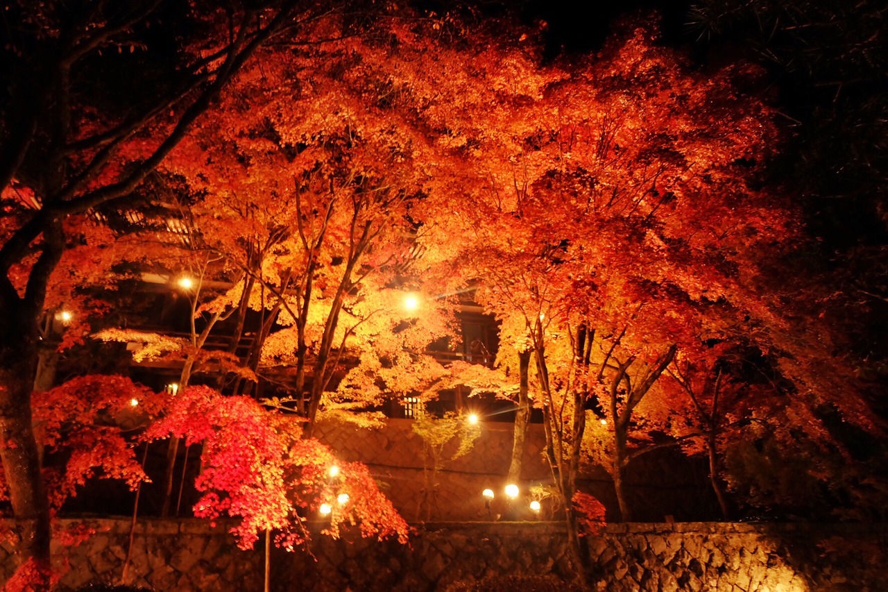 紅葉ライトアップ 播州清水寺 多可 西脇 加東 兵庫県 の旅行記 ブログ By Kokiaさん フォートラベル