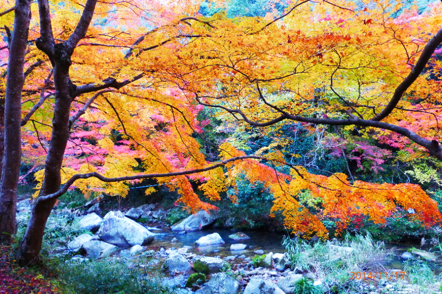ベンガラ吹屋と紅葉の名勝 赤い豪渓 鞆の浦 鞆公園 広島県 の旅行記 ブログ By ごん太2さん フォートラベル ベンガラ吹屋と紅葉の名勝 赤い豪渓 鞆の浦 鞆公園 広島県 の旅行記 ブログ By ごん太2さん フォートラベル