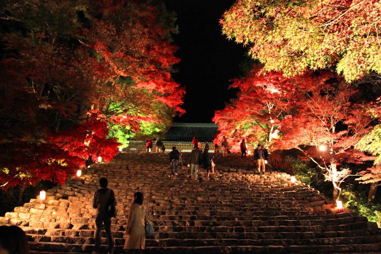 14紅葉 そうだ京都へ行こう 高尾 神護寺ライトアップ 嵐山 嵯峨野 太秦 桂 京都 の旅行記 ブログ By Rupannさん フォートラベル