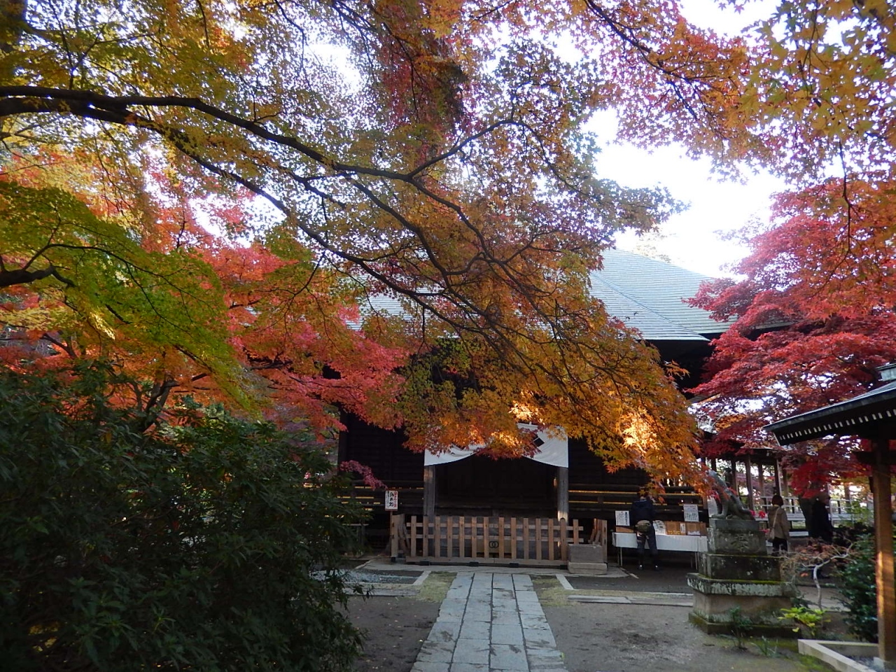 久しぶりに紅葉の多聞院を訪問する 所沢 埼玉県 の旅行記 ブログ By Tsunetaさん フォートラベル