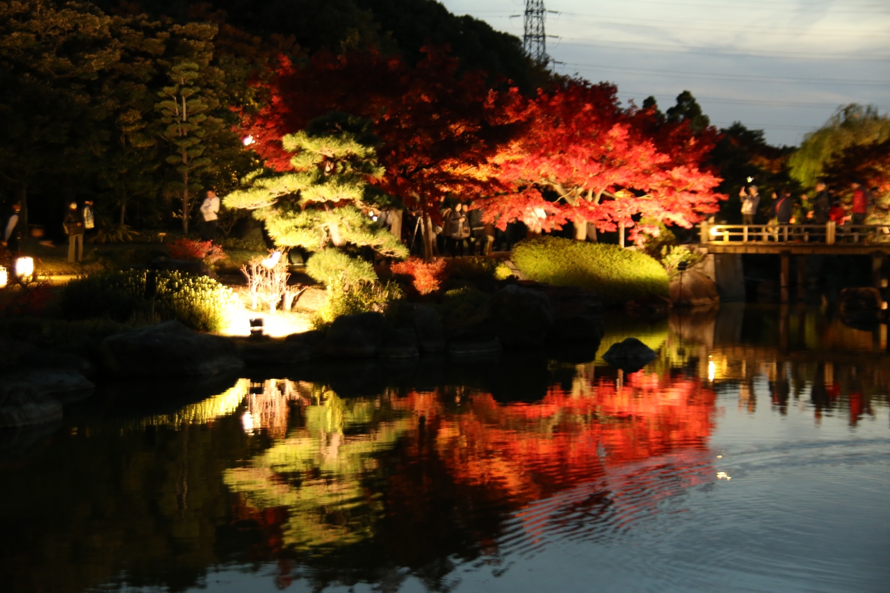 旅するイルカ 紅葉狩り 大阪府 堺市 大仙公園へ 堺 大阪 の旅行記 ブログ By イルカさん フォートラベル