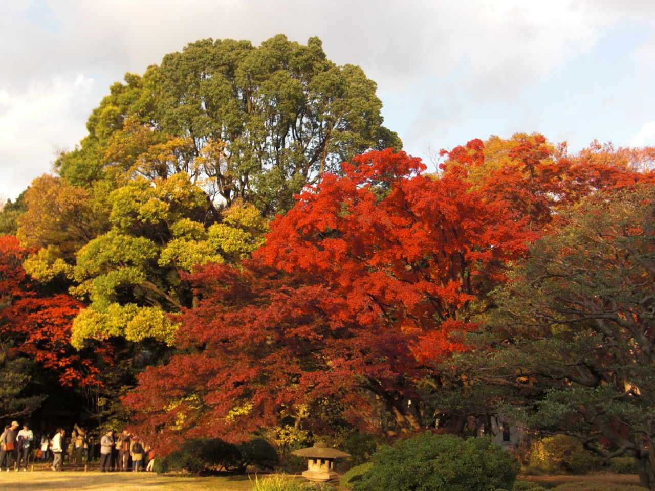 都心の紅葉散歩 六義園 編 大塚 巣鴨 駒込 東京 の旅行記 ブログ By チワワッピさん フォートラベル