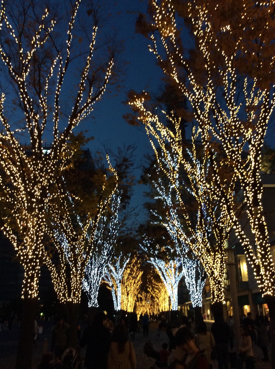 14年紅葉とクリスマス イルミネーション おまけの富士山 東京の旅行記 ブログ By Noelさん フォートラベル 14年紅葉とクリスマス イルミネーション おまけの富士山 東京の旅行記 ブログ By Noelさん フォートラベル