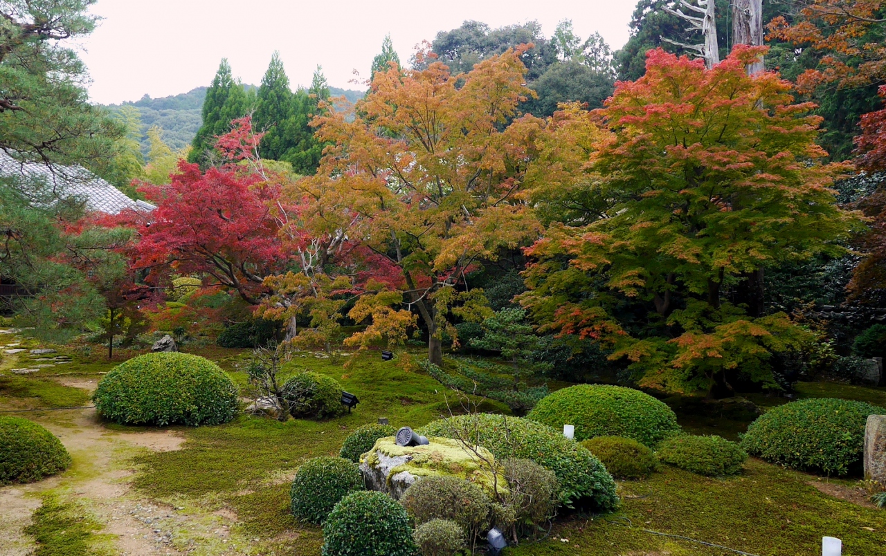 14 11紅葉の京都へ役得出張旅行3 泉涌寺雲龍院の紅葉 東山 祇園 北白川 京都 の旅行記 ブログ By Suomita2さん フォートラベル