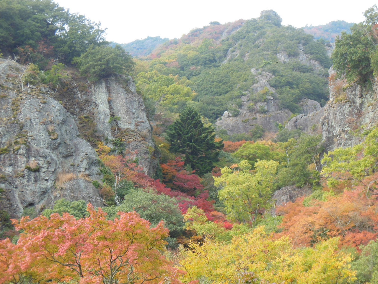 小豆島をレンタカーでめぐる その2 錦秋の寒霞渓を歩く 小豆島 香川県 の旅行記 ブログ By 山帽子さん フォートラベル
