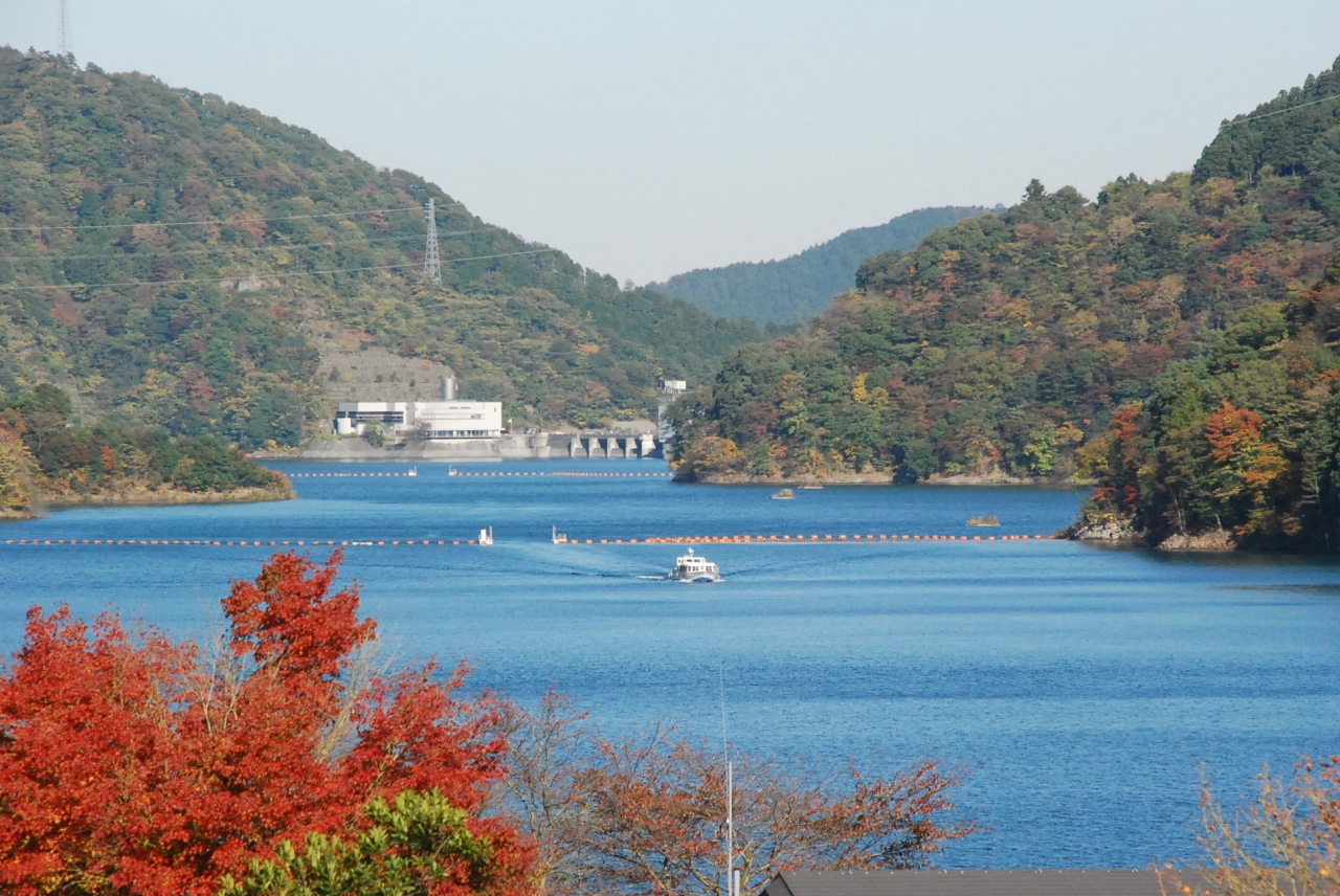 秋色の宮ヶ瀬湖畔を訪ねて 神奈川 厚木 神奈川県 の旅行記 ブログ By かっちんさん フォートラベル