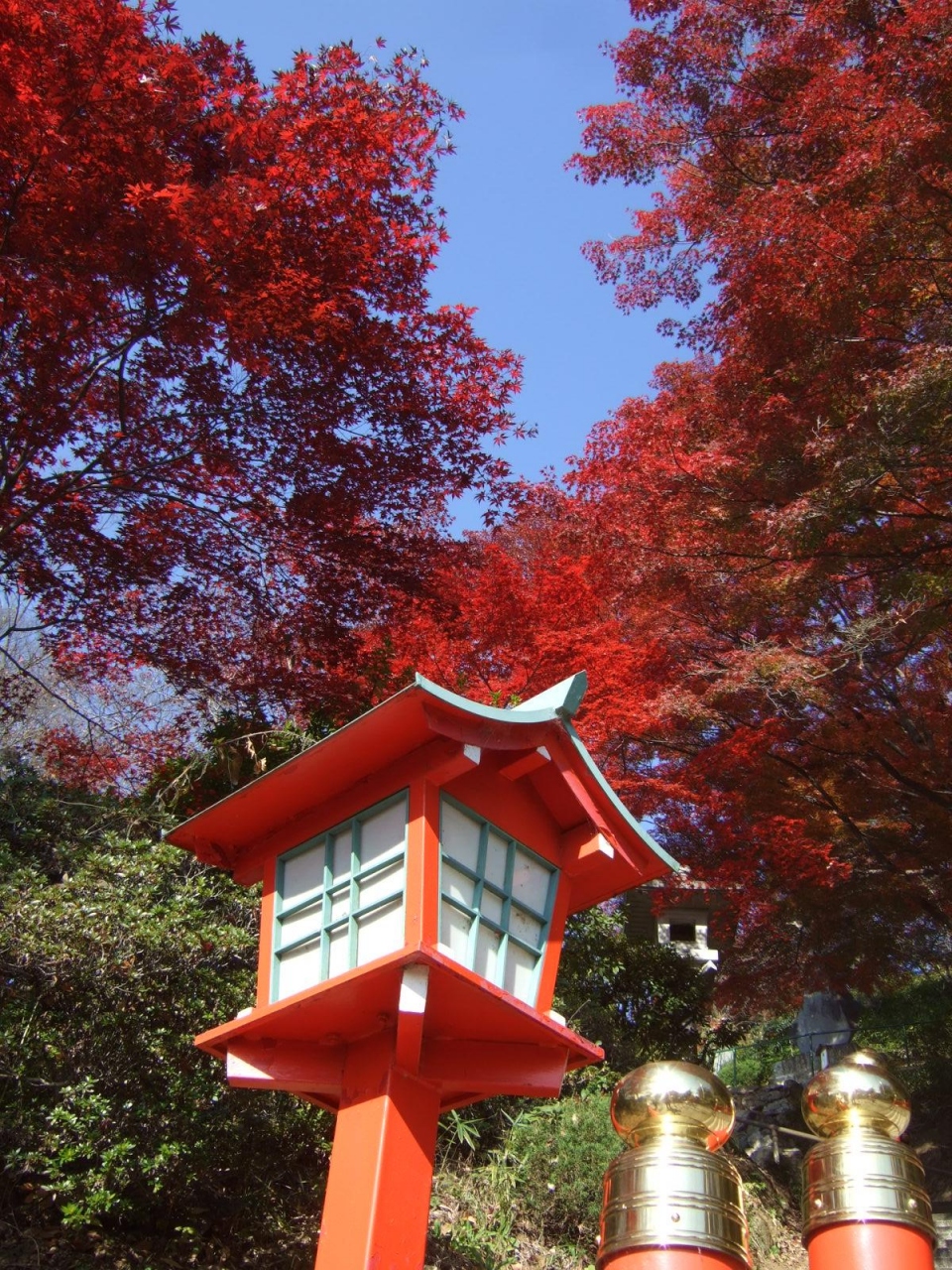 秋の足利日帰り旅 ぐるワンバスでめぐる織姫神社 もみじ谷 ココ ファーム ワイナリー フラワーパークイルミネーション 足利 栃木県 の旅行記 ブログ By まーやんさん フォートラベル 秋の足利日帰り旅 ぐるワンバスでめぐる織姫神社 もみじ谷 ココ ファーム ワイナリー フラワーパークイルミネーション 足利 栃木県 の旅行記 ブログ By まーやんさん フォートラベル