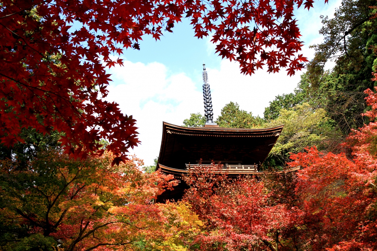 湖東三山 金剛輪寺 西明寺 百済寺 の紅葉 見ごろで とても綺麗でした 湖東三山 多賀 東近江 滋賀県 の旅行記 ブログ By きよさん フォートラベル