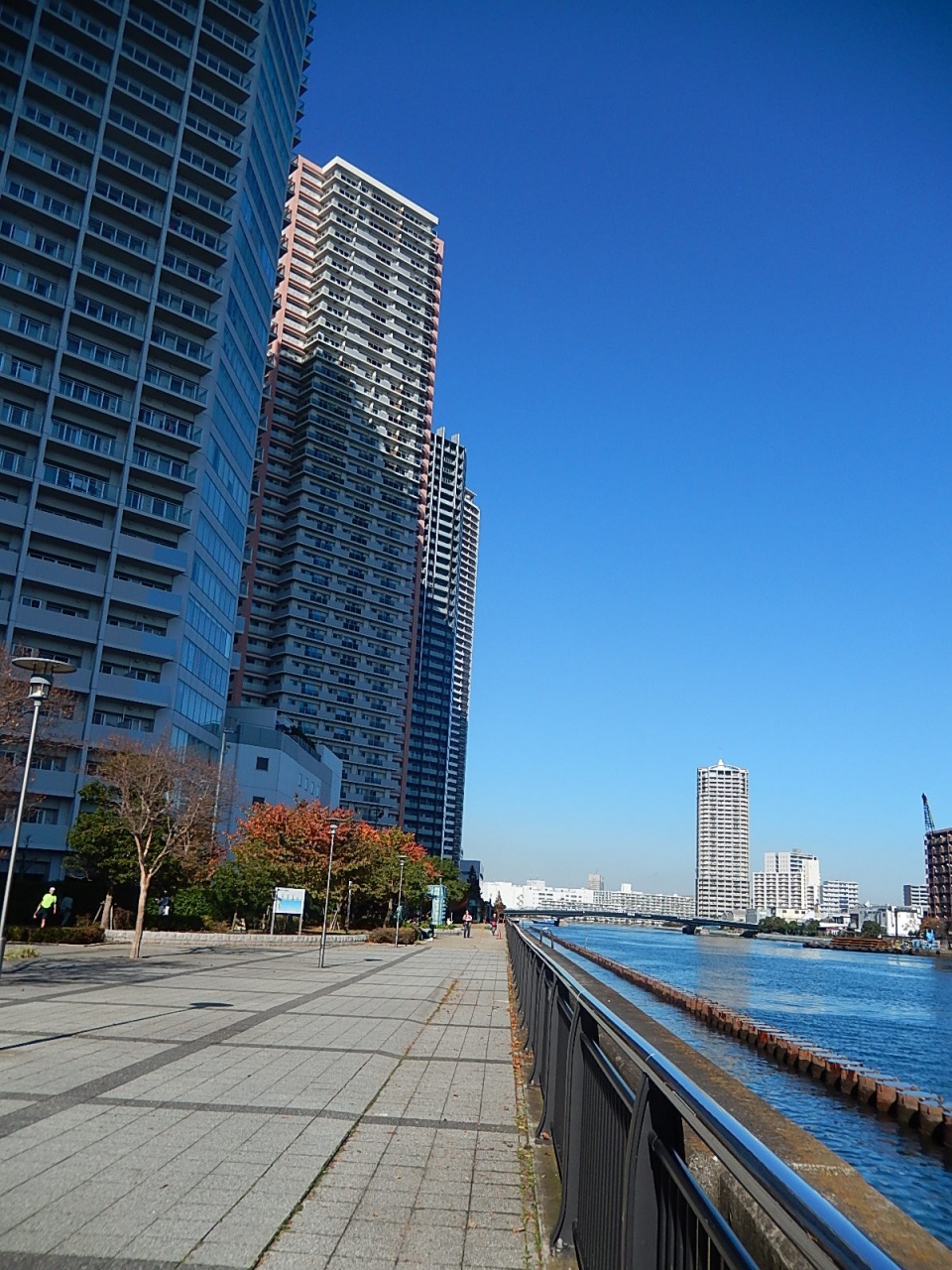 東雲水辺公園付近の風景 木場 東陽町 清澄 東京 の旅行記 ブログ By Tsunetaさん フォートラベル