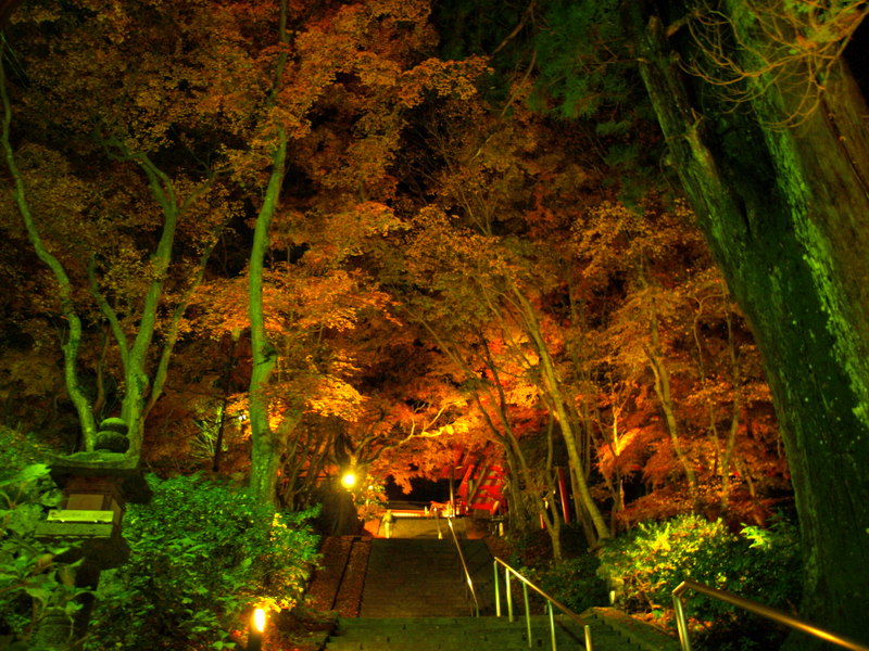 談山神社の紅葉ライトアップへ O 桜井 三輪 山の辺の道 奈良県 の旅行記 ブログ By まひなさん フォートラベル