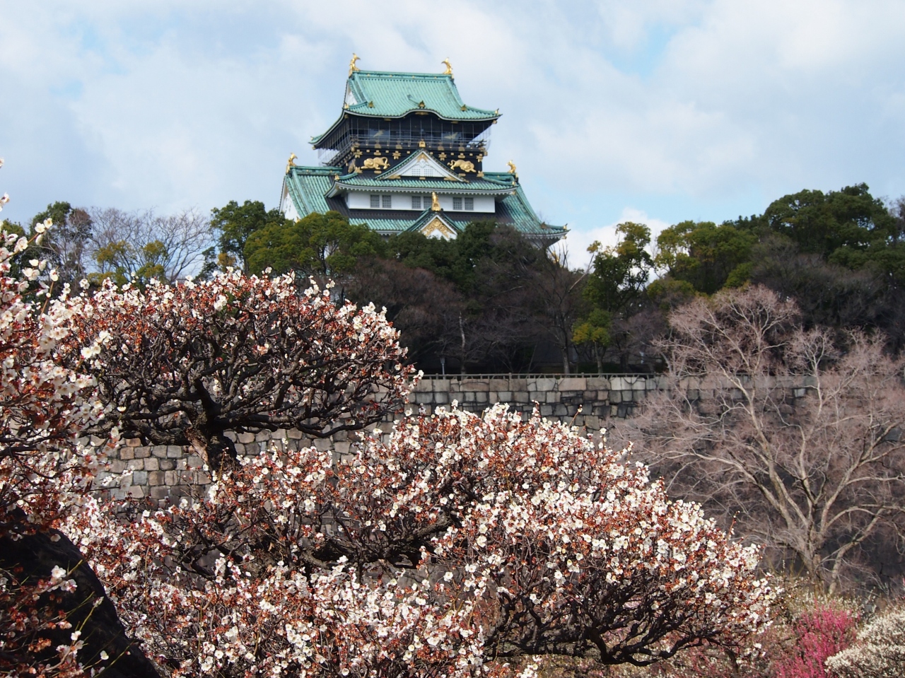 青春18きっぷの旅 2014年早春 大阪城 京橋 大阪 の旅行記 ブログ By かおニャンさん フォートラベル