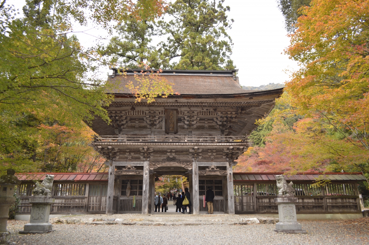 おしどり夫婦の紅葉 大矢田もみじ谷 大矢田神社 美濃市 岐阜県 の旅行記 ブログ By おしどりさん フォートラベル