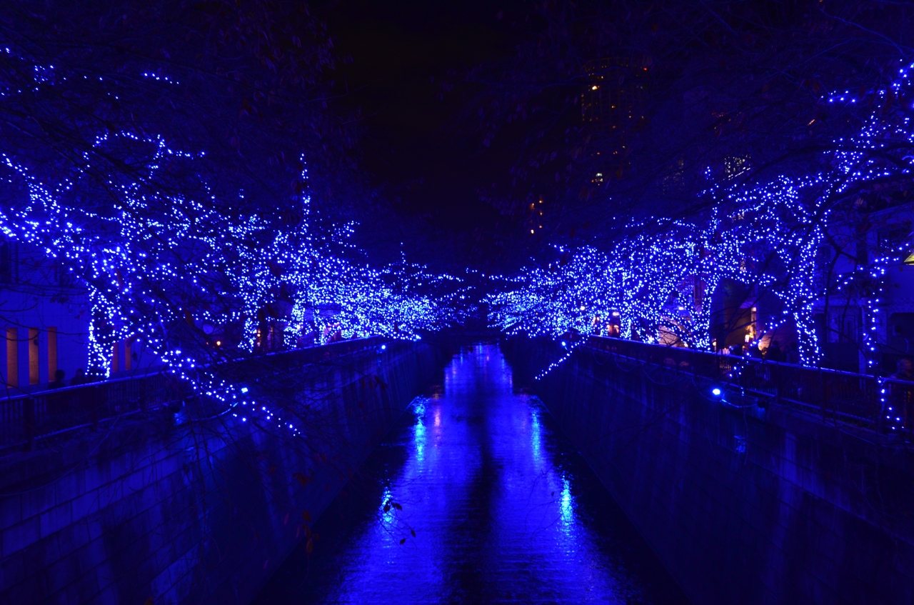 今年の冬の目黒川は青の洞窟に変身 中目黒 祐天寺 東京 の旅行記 ブログ By ぬいぬいさん フォートラベル 今年の冬の目黒川は青の洞窟に変身 中目黒 祐天寺 東京 の旅行記 ブログ By ぬいぬいさん フォートラベル