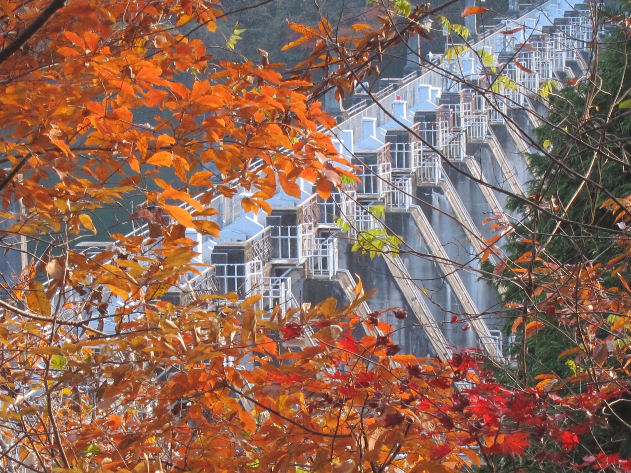 14年11月 紅葉の恵那峡 大井ダム 岐阜 恵那 岐阜県 の旅行記 ブログ By Yama Yamaさん フォートラベル