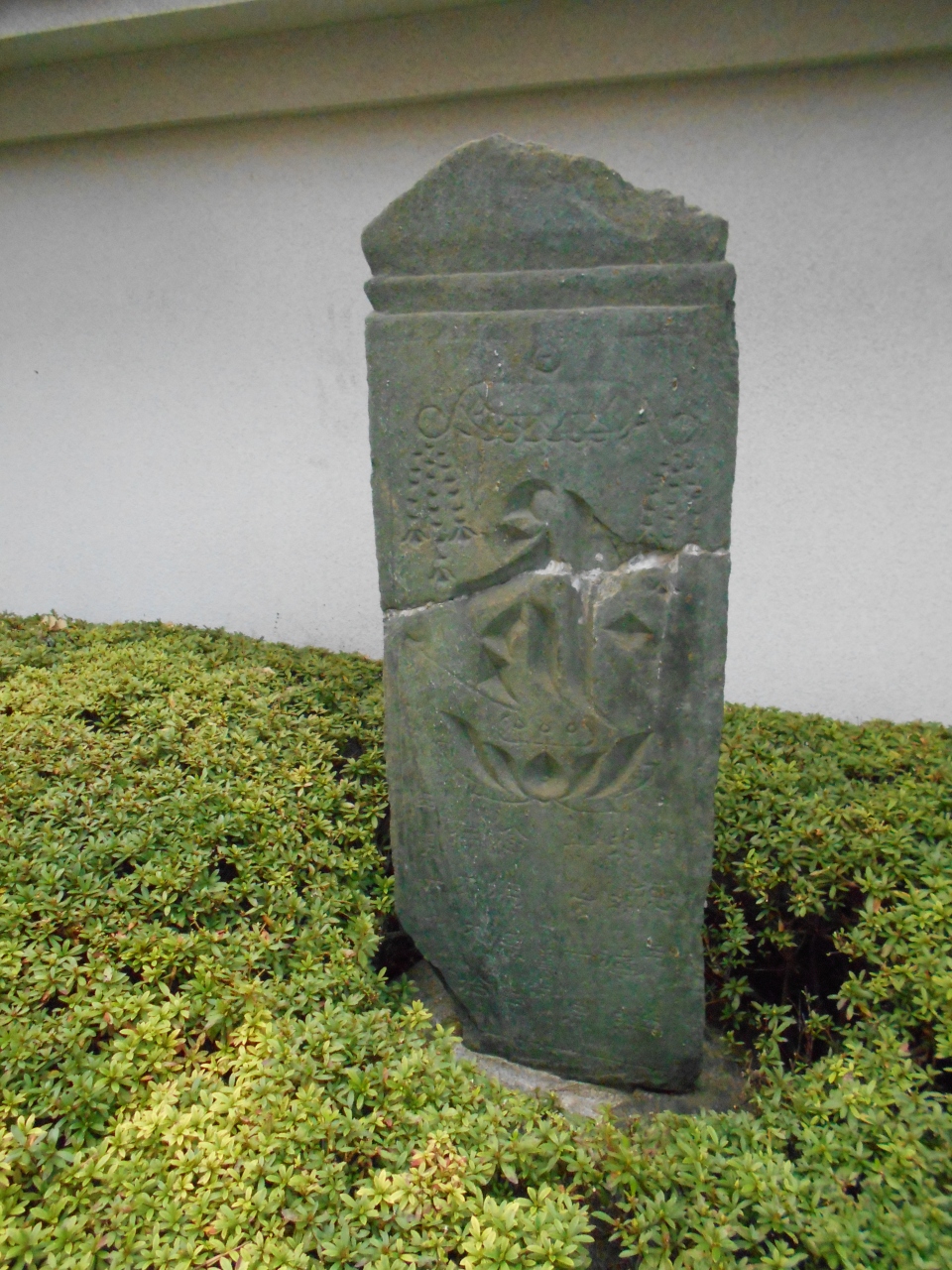 武蔵南麻布 渋谷区では珍しい緑泥片岩の板碑を有する『霊泉院』及び徳川幕府譜代大名大給(真次流)松平氏の菩提寺である『香林院』散歩
