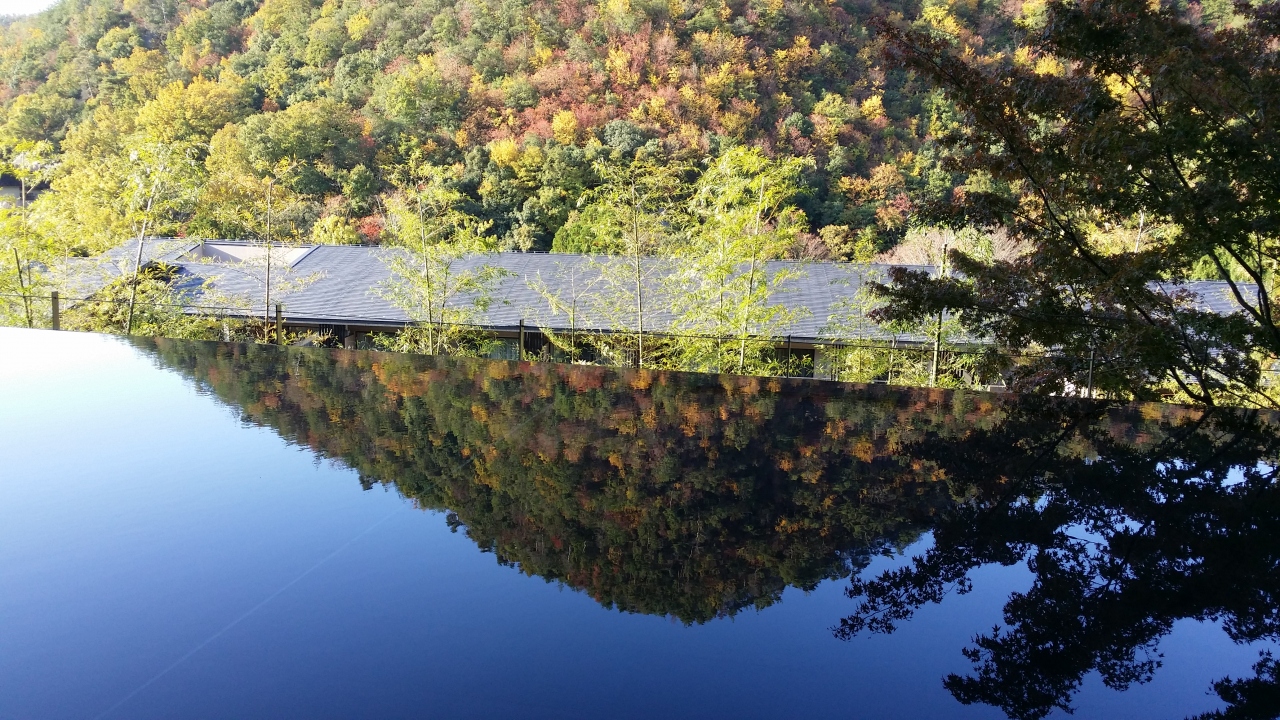 紅葉の京都 嵐山トロッコ列車と南禅寺 永観堂 東急ハーヴェスト鷹峯 嵐山 嵯峨野 太秦 桂 京都 の旅行記 ブログ By ちげさん フォートラベル