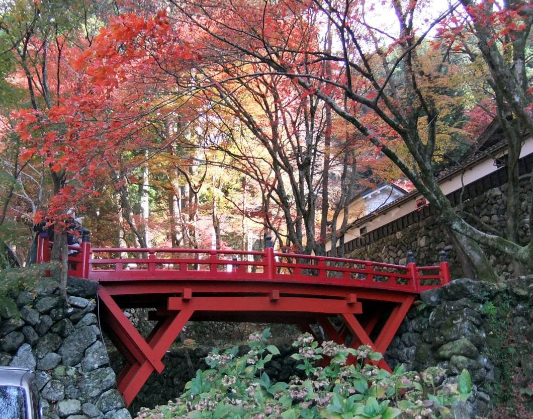 14 美濃路の秋 大矢田神社もみじ谷 谷汲山華厳寺 両開山 横蔵寺 養老公園 美濃市 岐阜県 の旅行記 ブログ By Akkiyさん フォートラベル