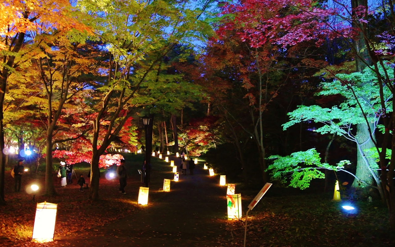 紅葉見ナイト を見ないと 森林公園で見る黄色い夜空の紅い天の川とイルミネーション 東松山 埼玉県 の旅行記 ブログ By まめ猫さん フォートラベル