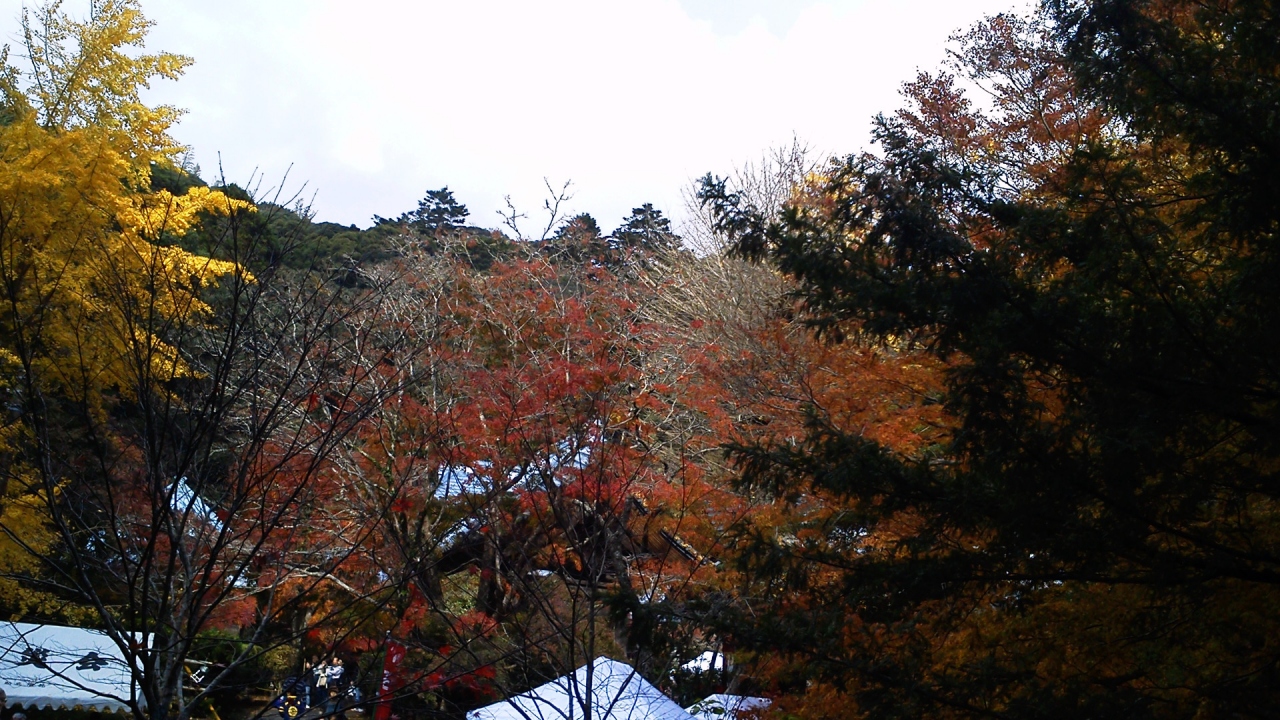小松寺の紅葉 千倉 千葉県 の旅行記 ブログ By 守さんの猫さん フォートラベル