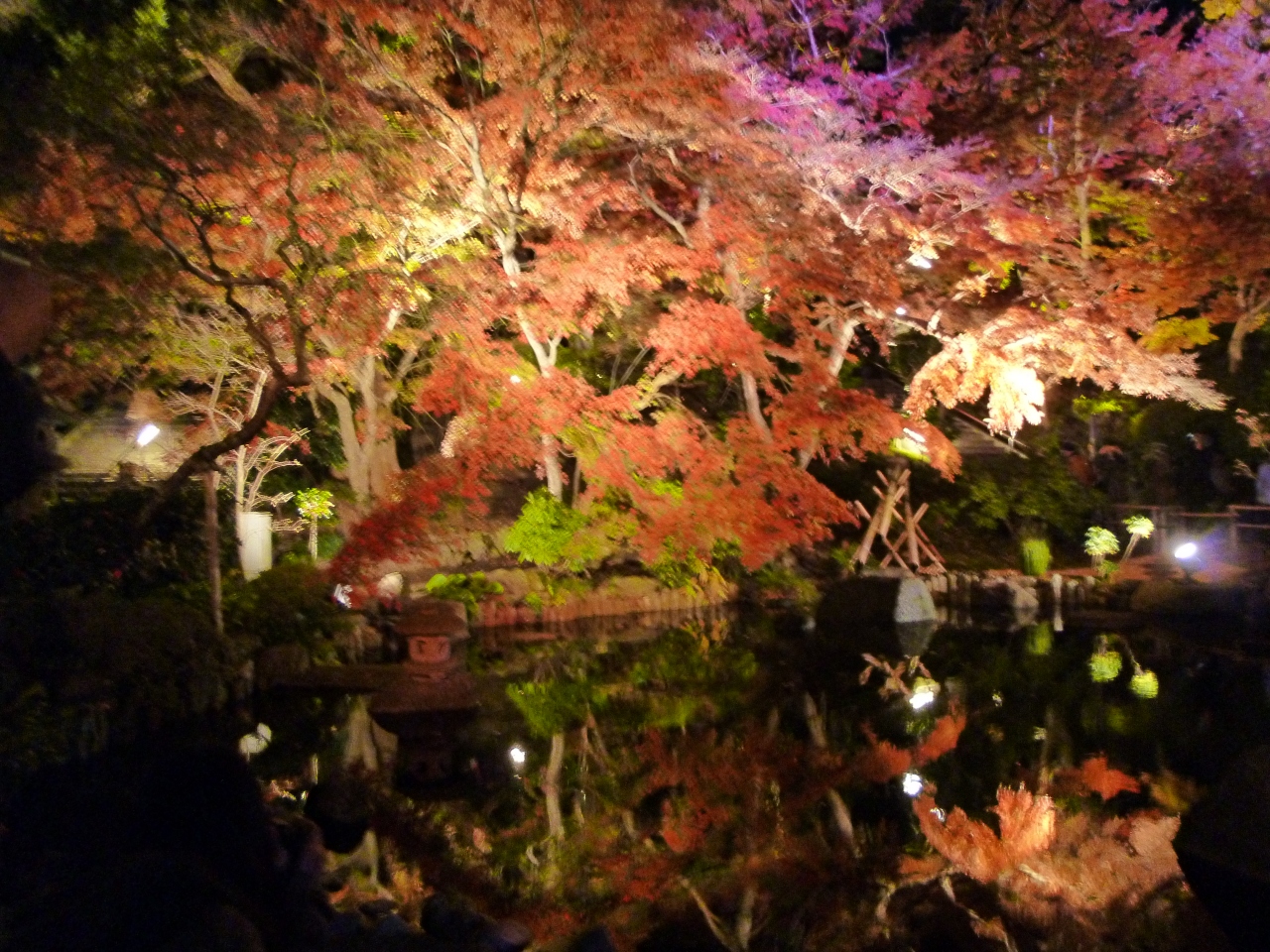 鎌倉 紅葉散歩 14 晩秋 紅葉の〆は長谷寺のライトアップ 鎌倉 神奈川県 の旅行記 ブログ By Cotton Candyさん フォートラベル