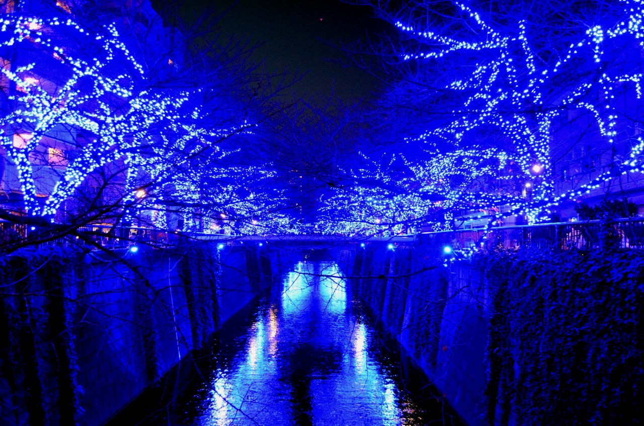 青の洞窟 目黒川 イルミネーション 中目黒 祐天寺 東京 の旅行記 ブログ By Takeおじさん フォートラベル