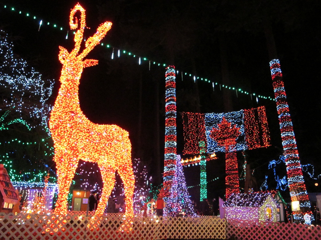 スタンレー公園 4回目 クリスマス列車 イルミネーション バンクーバー カナダ の旅行記 ブログ By 昆虫博士さん フォートラベル