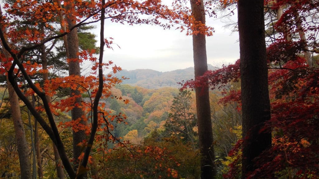 西武池袋線でゆく 紅葉の飯能 高麗 飯能 埼玉県 の旅行記 ブログ By Fmi ふみ さん フォートラベル