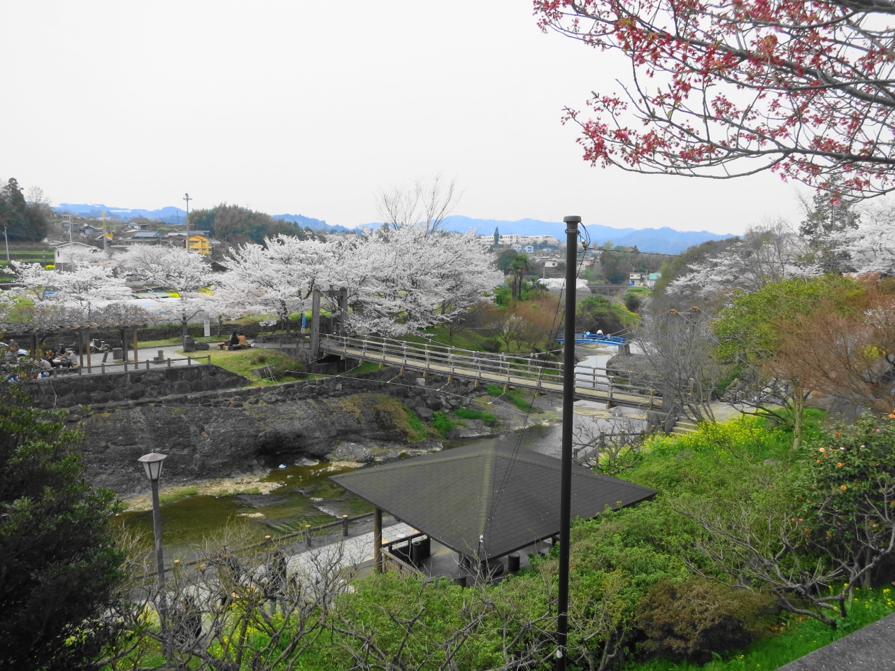 13年3月 4月 帰省のついでに砥部衝上断層へ つきあげ断層公園でお花見 愛媛県の旅行記 ブログ By Kodebuさん フォートラベル