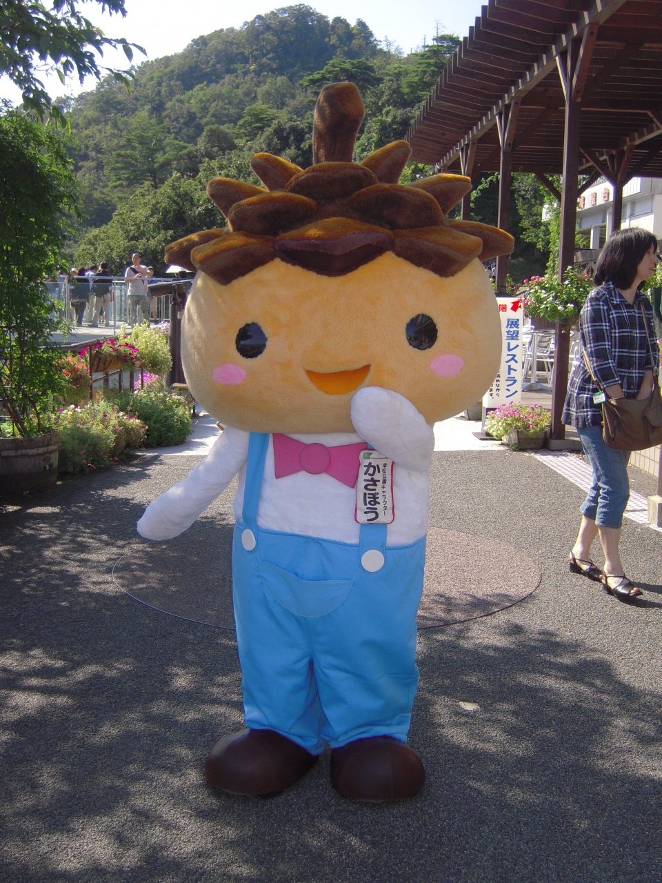 天橋立 姫路城 ぐるっと電車の旅 京都編 天橋立 宮津 京都 の旅行記 ブログ By さんさん フォートラベル