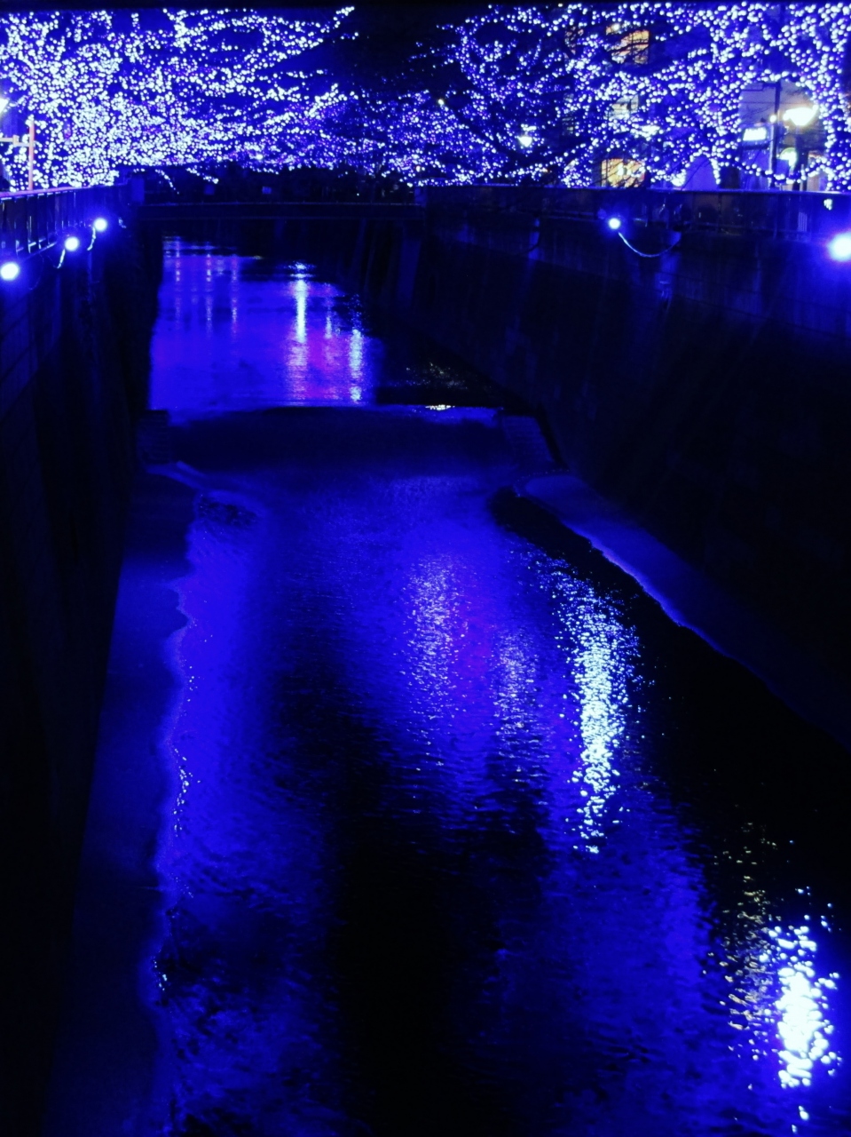 青の憂鬱 目黒川 青の洞窟 横浜 みなとみらいxmas 14 横浜 神奈川県 の旅行記 ブログ By Momotaさん フォートラベル 青の憂鬱 目黒川 青の洞窟 横浜 みなとみらいxmas 14 横浜 神奈川県 の旅行記 ブログ By Momotaさん フォートラベル