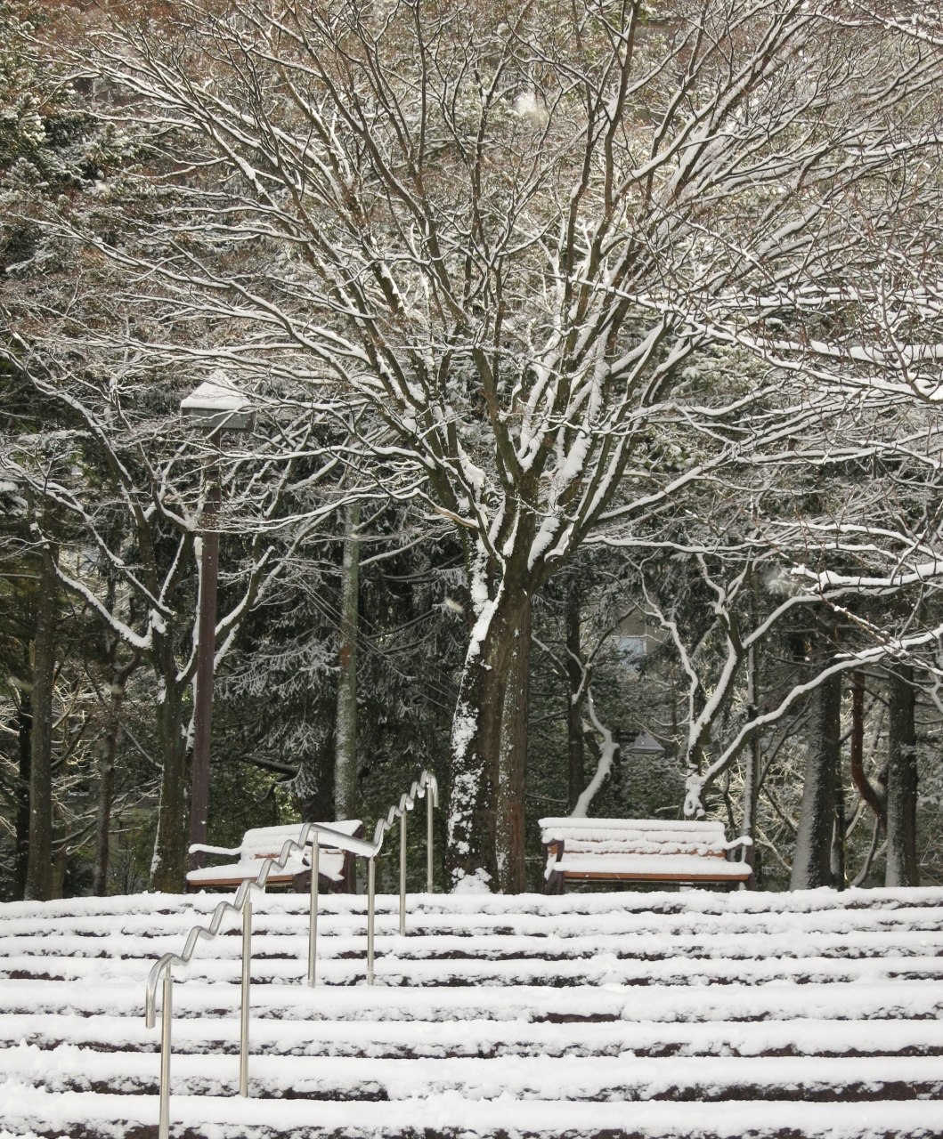 あ ぁ とうとう積もっちゃった 雪 仙台 宮城県 の旅行記 ブログ By こあひるさん フォートラベル