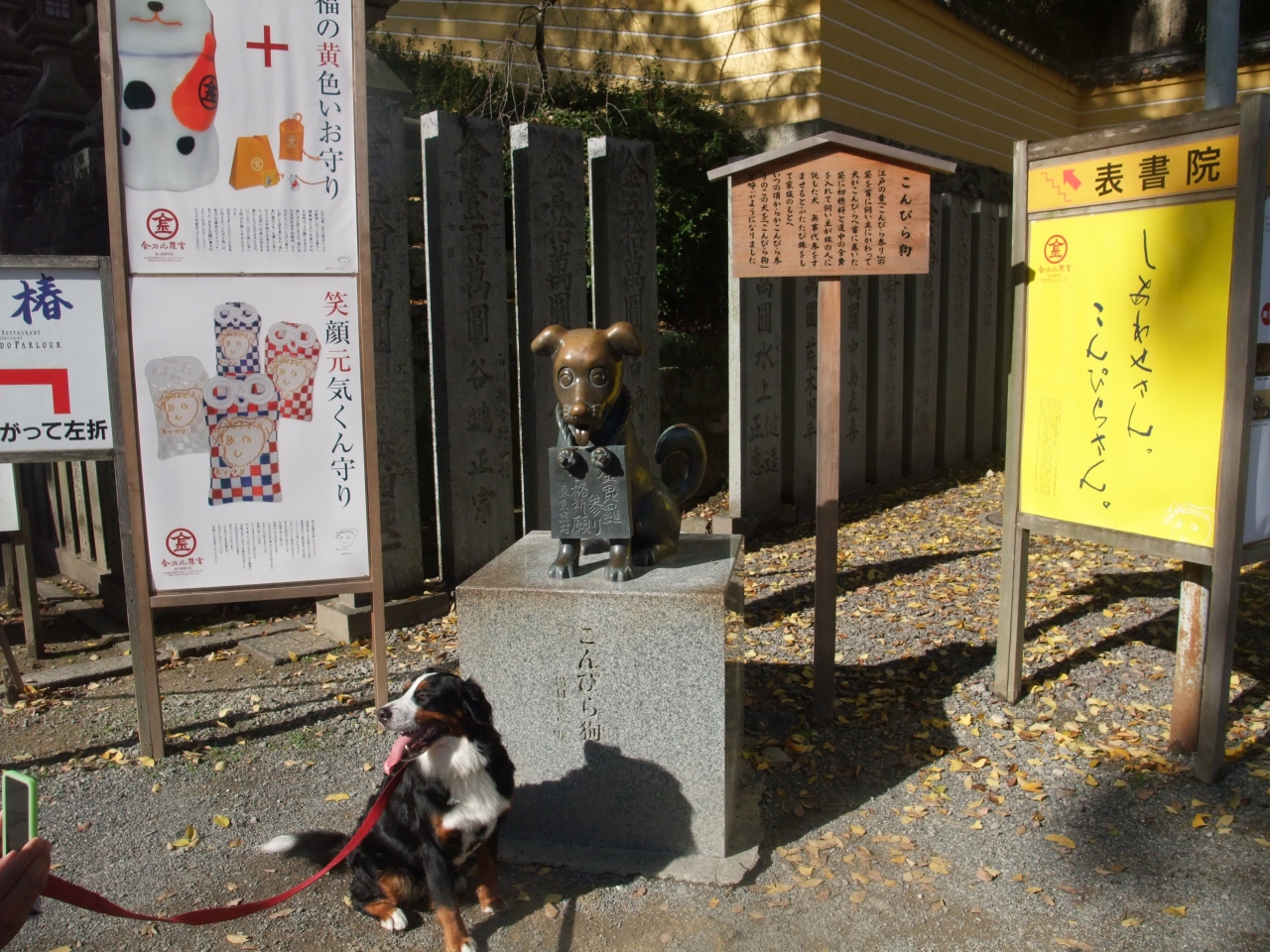 旅ワンコ 瀬戸内編 琴平 金刀比羅宮周辺 香川県 の旅行記 ブログ By さるおさん フォートラベル