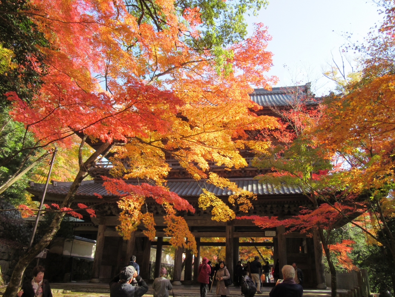 紅葉の湖東三山と永源寺14 その１ 永源寺 百済寺 湖東三山 多賀 東近江 滋賀県 の旅行記 ブログ By げんきさん フォートラベル