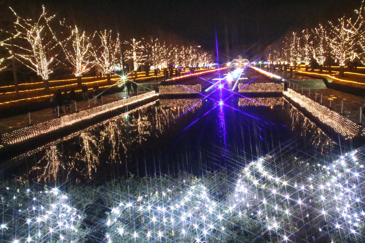 クリスマスシーズンは動物園とイルミネーション ４ 寒空に色鮮やかですっきり爽やか昭和記念公園のイルミネーション 立川 東京 の旅行記 ブログ By まみさん フォートラベル