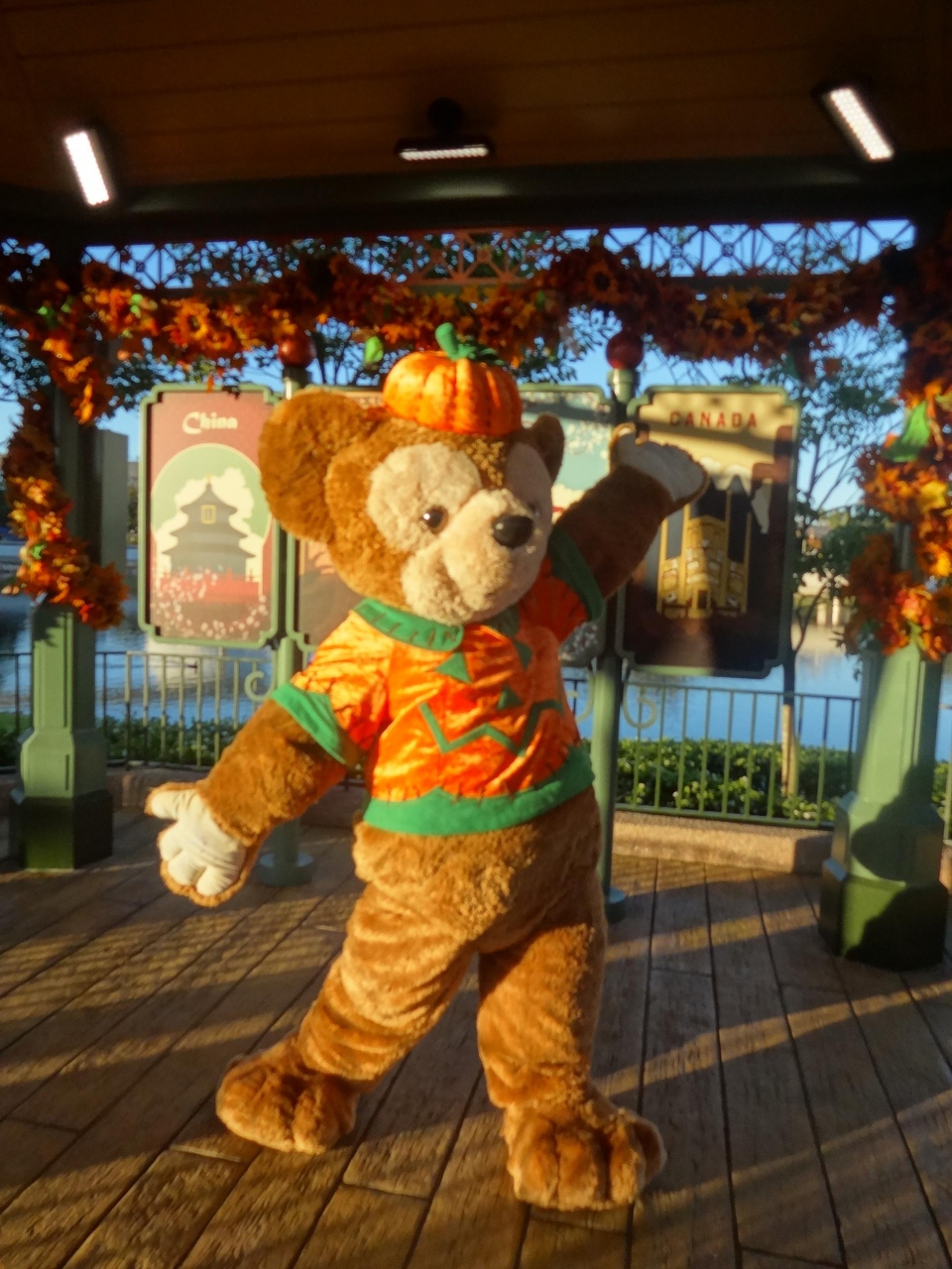 ハロウィンパーティにゆく ウォルトディズニーワールド4泊6日 オーランド アメリカ の旅行記 ブログ By Maimuさん フォートラベル
